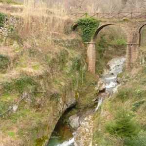 Escursione alle mulattiere