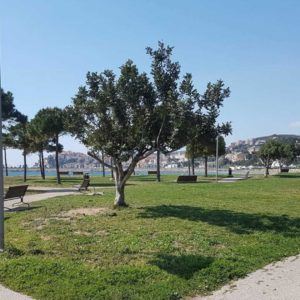 Parco urbano di Imperia