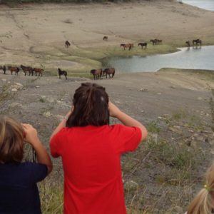 Horse watching in Val d'Aveto