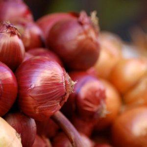 Cipolla rossa di Zerli